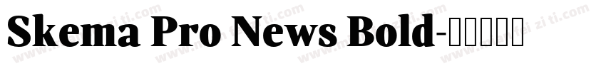 Skema Pro News Bold字体转换